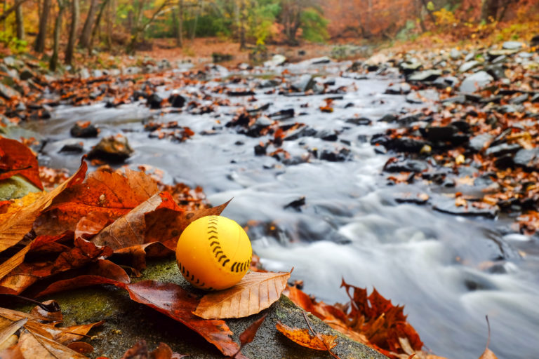 Fall Ball Ridge Meadows Minor Softball Association